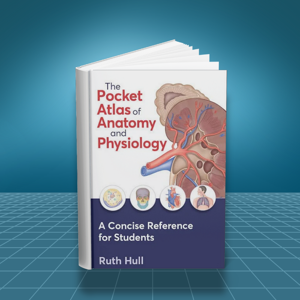 The Pocket Atlas of Anatomy and Physiology A Concise Guide to the Human Body 2024 edition